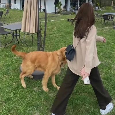 我的绝妙离婚